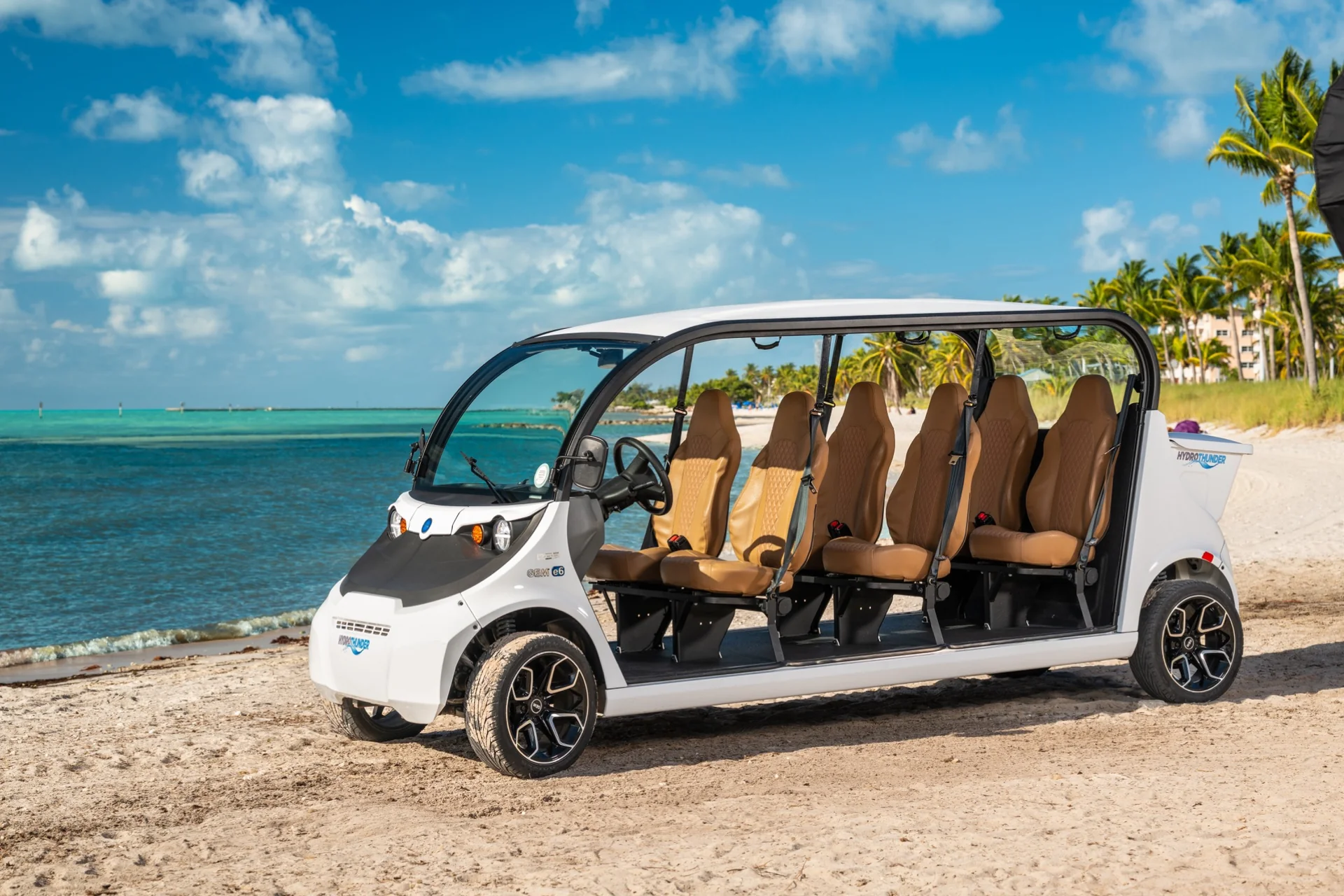 6-Seater GEM Electric Car